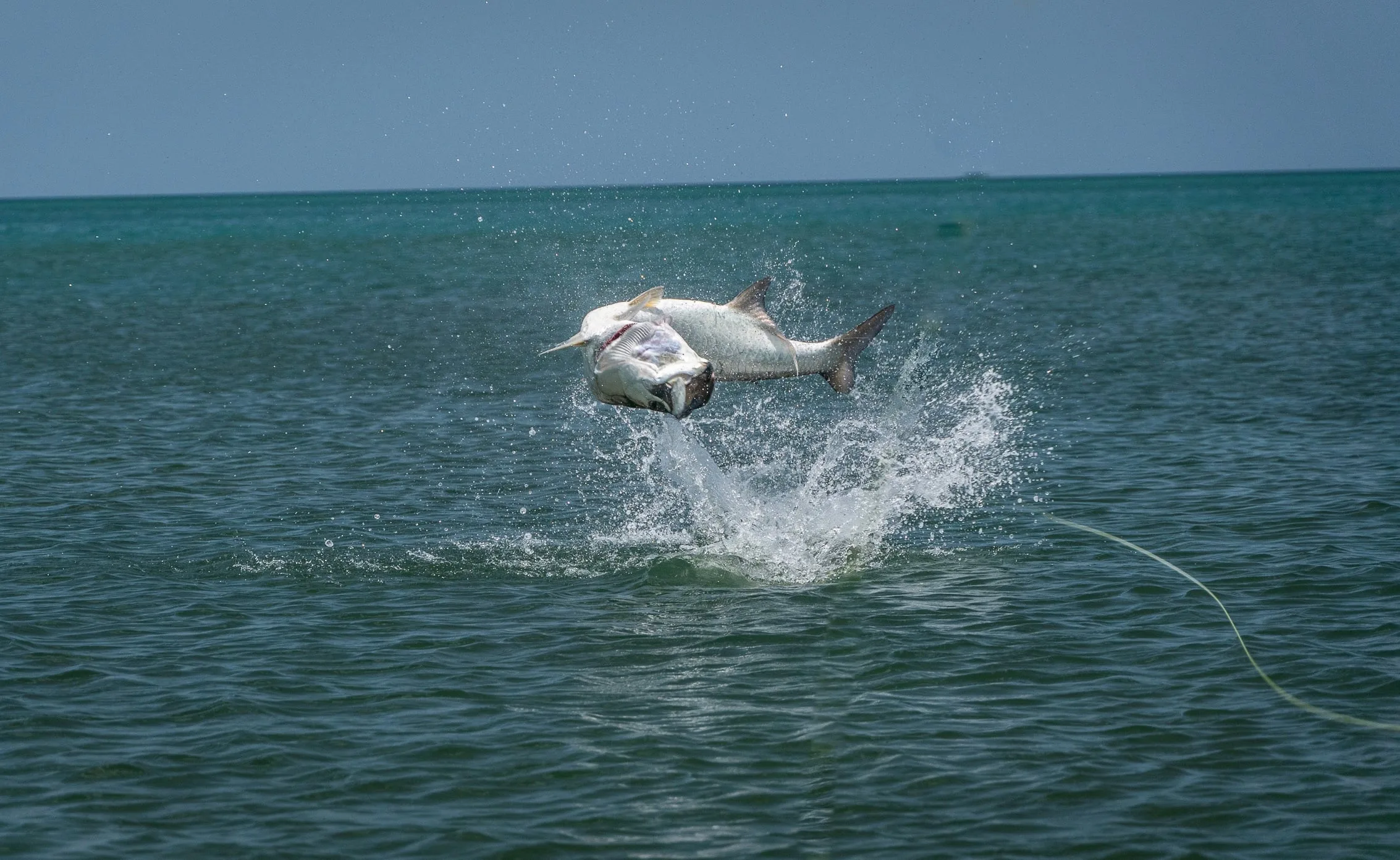 Is SEO Worth It for a Fishing Lodge?